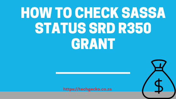 How  To Check SASSA Status  SRD R350 Grant